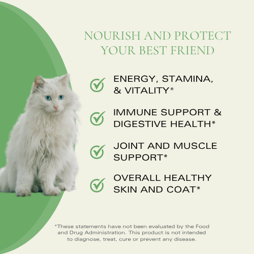 Feline POWER FOR LIFE