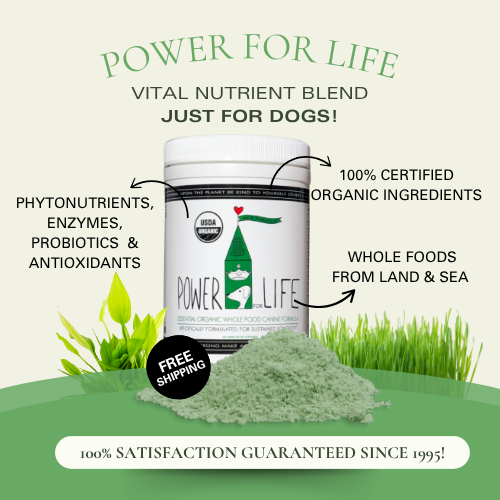 Canine POWER FOR LIFE