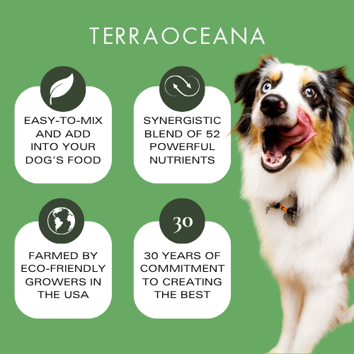 Canine POWER FOR LIFE