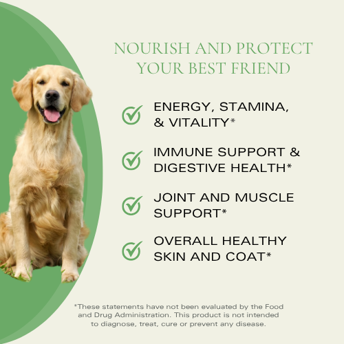 Canine POWER FOR LIFE