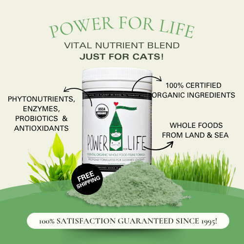 Feline POWER FOR LIFE