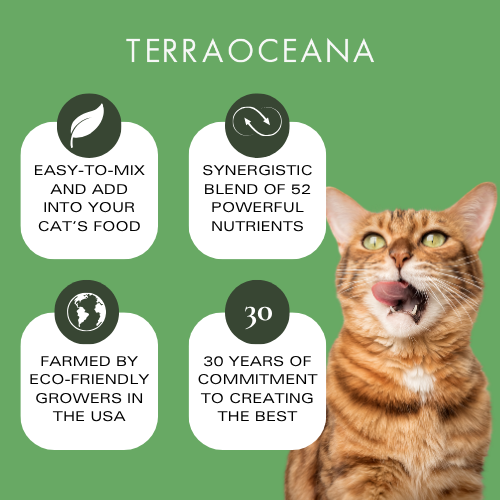 Feline POWER FOR LIFE