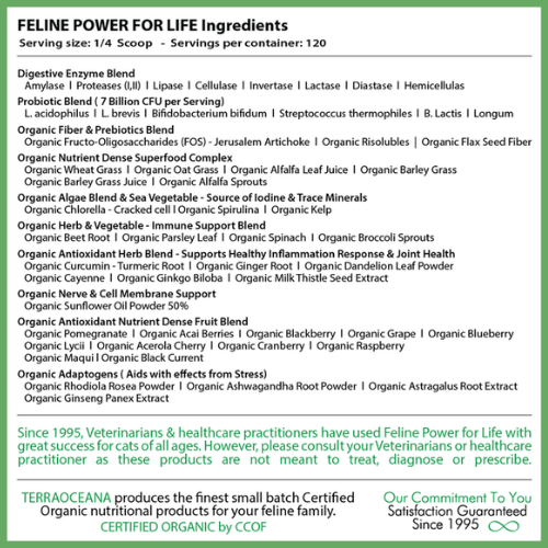 Feline POWER FOR LIFE